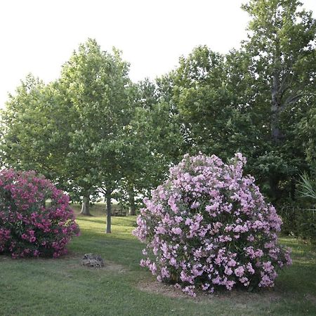 Agriturismo La Fonte di San Girio Affittacamere Potenza Picena Esterno foto