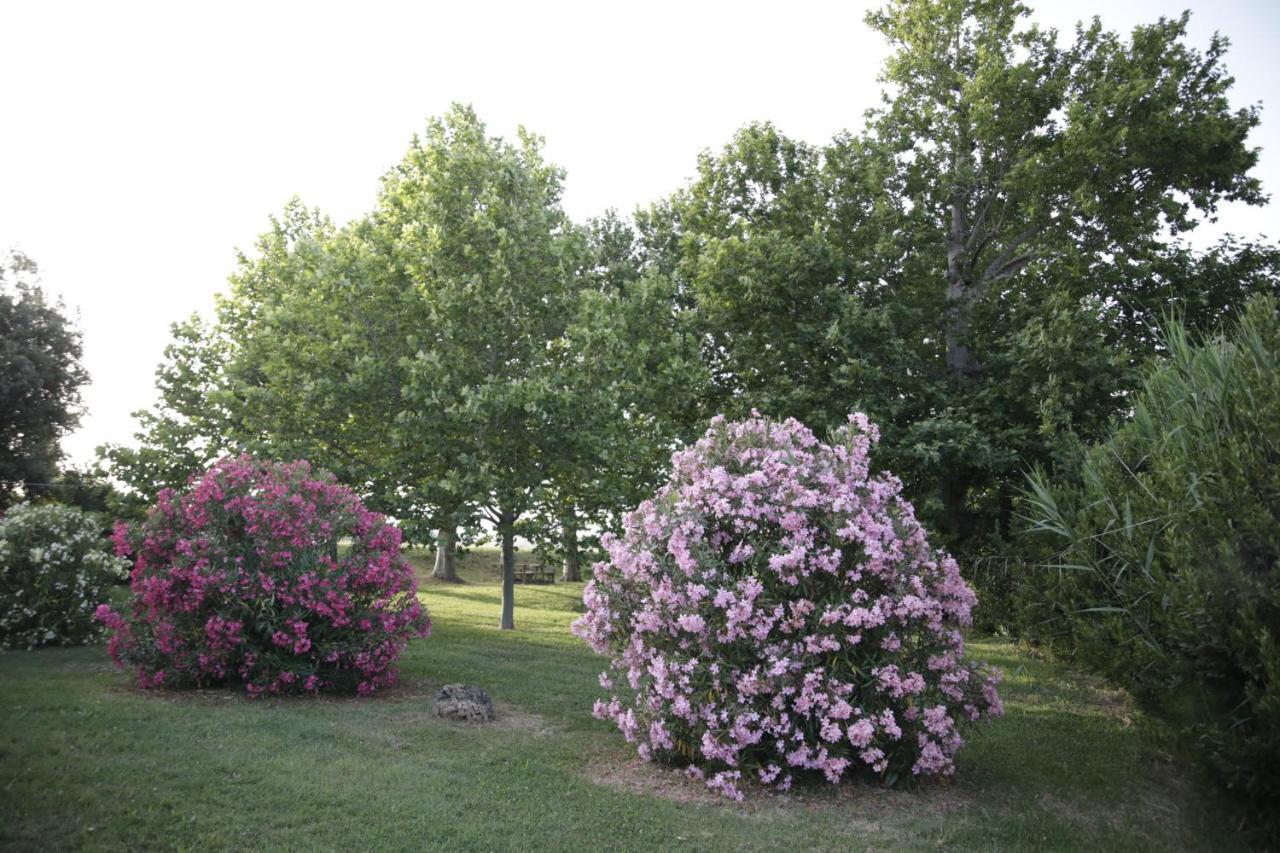 Agriturismo La Fonte di San Girio Affittacamere Potenza Picena Esterno foto